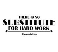 Sticker No substitute for hard work - Thomas Edison