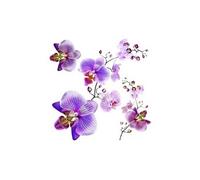 Sticker orchids - 1 planche 30 x 30 cm