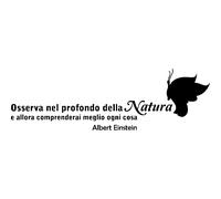 Sticker Osserva nel profondo della Natura - Albert Einstein