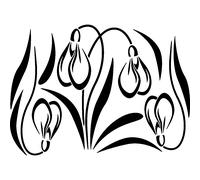 Sticker Perce-neige