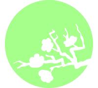 Sticker phosphorescent lune avec cerisier