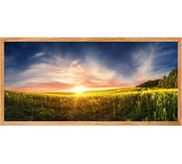 Sticker poster Coucher de soleil dans un champs