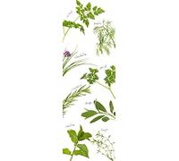 Sticker Réfrigérateur Cuisine Déco Fraiche 59,5 cm X 180 cm Menthe Thym Romarin Persil Ciboulette Aneth Cerfeuil - Décoratif Maison