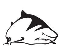 Sticker Requin