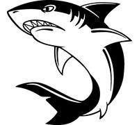Sticker Requin en colère