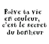 Sticker " Rêve ta vie en couleurs "