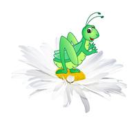 Sticker Sauterelle sur une fleur