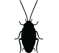 Sticker Silhouette cafard