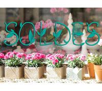 Sticker Soldes Feuilles Printemps - Nombreuses tailles et couleurs disponibles