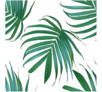 Sticker tapisserie tropicale feuilles de palmiers
