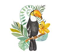SUD TRADING Adhésif décoratif Mural Toucan aquarelle