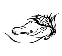 Sticker traits de la tête d'un cheval