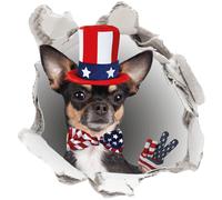 Sticker trompe l'oeil chihuahua américain
