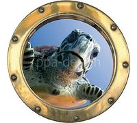 Sticker Trompe l'oeil Hublot Tortue sur la Plage - Y0102 (50x50cm)