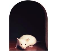 Sticker trompe l'oeil trou de souris et la souris blanche