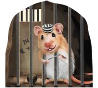 Sticker trompe l'oeil trou de souris rat en prison