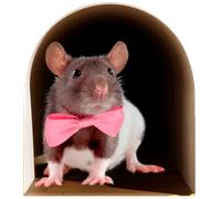 Sticker trompe l'oeil trou de souris VIP