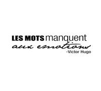 Sticker Victor Hugo Les mots manquent…