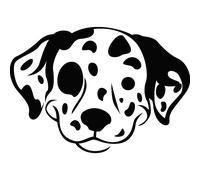 Sticker visage Dalmatien