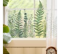 Sticker Vitre Botanique Fougère Eucalyptus 40x30cm Sticker Vitre Décoratif