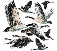 Stickers animaux vol des oies sauvages