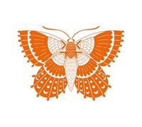 Stickers artistiques en vinyle papillon de nuit style bohème univers mystérieux ailes d'insectes 50.4x71.3cm Culture du tatouage Orange