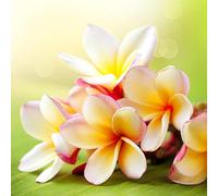 Stickers Boite aux Lettres Fleurs Zen 28x28 cm -11046