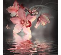 Stickers Boite aux Lettres ou Stickers muraux Papillon Orchidé Zen 28x28 cm -11056