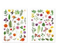 Gommettes herbier - 73 pièces - de 1,2 à 6 cm multicolore