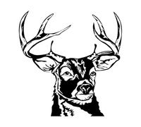 Stickers lettrage Cerf Animal Cornes Chasse Chasseur 36x36.9cm Fourni avec un kit de film de transfert Noir