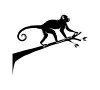 Stickers lettrage Pépinière Animal Monkey Zoo 34x42.1cm Embellissement mural Noir