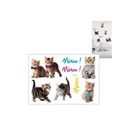 Stickers Muraux Chatons
