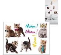 Stickers Muraux Chatons Multicolore G