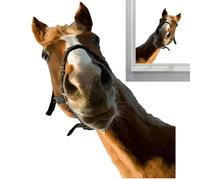 Stickers Muraux Cheval Réalistes,Stickers Chevaux Réalistes | Autocollants muraux de chevaux | Autocollants de fenêtre d'animaux de ferme, autocollants de chevaux sauvages, autocollant mural de fenêtr