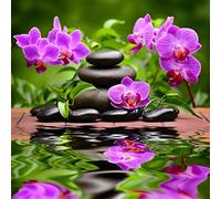 Stickers muraux déco Orchidées Galets Zen Dimensions: 30x30cm