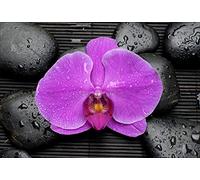 Stickers muraux déco Zen: Galets orchidée Dimensions 20x29cm