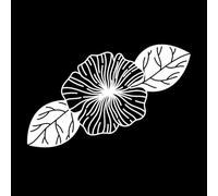 Stickers muraux en vinyle en alchimie florale 36x57.1cm Peinture murale artistique Blanc