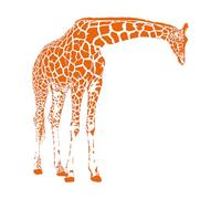 Stickers muraux en vinyle Girafe, jungle africaine, animal fascinant 54x57.2cm Installation facile Orange
