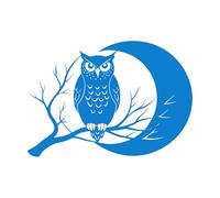 Stickers muraux et muraux en vinyle Chouette perchée sur une branche d'arbre devant la silhouette de la pleine lune 34x48.4cm Installation facile Bleu