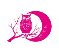 Stickers muraux et muraux en vinyle Chouette perchée sur une branche d'arbre devant la silhouette de la pleine lune 68x96.7cm Multicolore RoseRouge