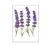 Stickers muraux lavande violette pour salon, chambre, chambre d’enfant, stickers décoratifs