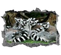 Stickers muraux Lémurien, 3d, autocollant, animaux, lémuriens, Art mural, sticker, murale Stickers muraux murales Posters