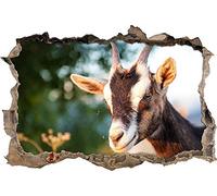 Stickers muraux petite chèvre autocollant sticker mural pour salon chambre cuisine bureau adulte enfant 50x70cm