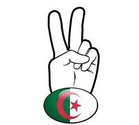 Stickers rétro réfléchissant pour Casque de Scooter/Moto avec Le Drapeau Algérien et Signe