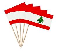 Stidsds 100 bâtonnets drapeau du Liban pour cupcakes libanais, drapeaux sur bâton, banderole de fête, cocktail, décoration de fruits