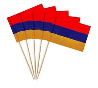 stidsds 100pcs Drapeau National Cure-Dent C (Arménie)