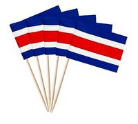 Stidsds Lot de 100 cure-dents du Costa Rica - Mini décorations pour cupcakes et bannières, décoration de fête de campagne
