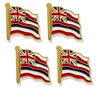 stidsds Lot de 4 pin's en forme de drapeau américain Hawaï - Épinglettes en émail pour costume et agitation patriotique en métal pour chapeau et sac à dos, Métal, Alliage.