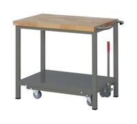 STIER Etabli STIER Premium avec châssis roulant abaissable, lxPxH 1 000x700x880 mm Quantité:1