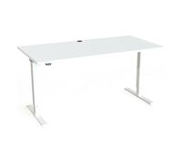 STIER STIER Bureau électrique réglable en hauteur 501-20 160 × 80 cm Blanc Quantité:1